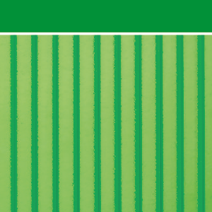 Green forest