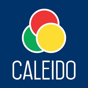 454-caleido.jpg