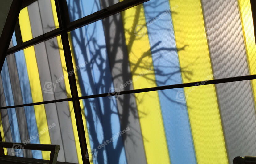 Brandizzo School Centre Gym
_5