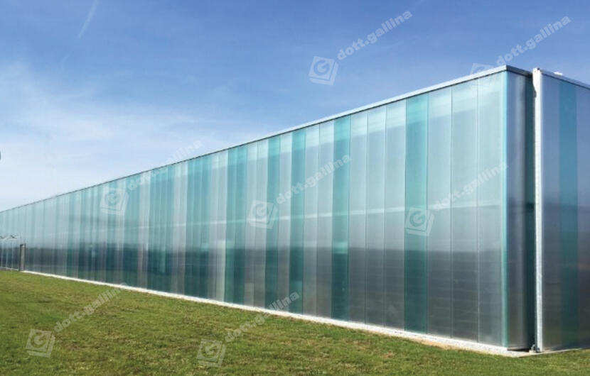 SICAE headquarters
_1